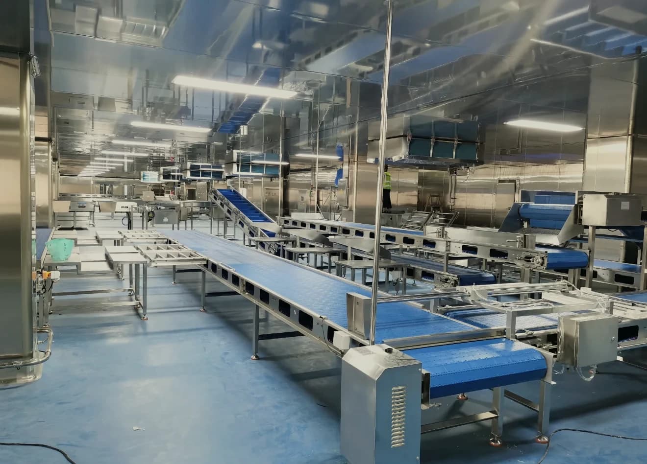 Chengchuan food processing and auxiliary equipment